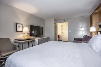 Standard Room, 1 King Bed with Sofa bed