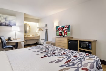 Superior Room, 1 King Bed (Smoke Free)