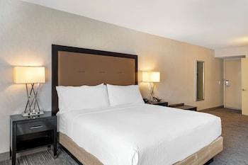 Standard Room, 1 King Bed