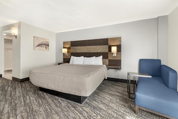 Standard Room, 1 King Bed, Non Smoking, Refrigerator & Microwave (Walk-in Shower)