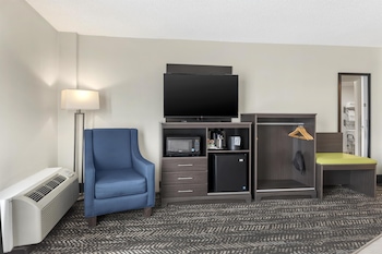 Standard Room, 1 King Bed, Accessible, Refrigerator & Microwave (Walk-in Shower)