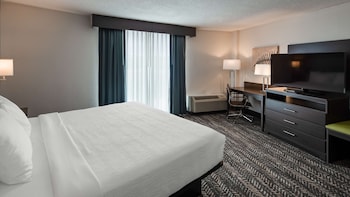 Standard Room, 1 King Bed, Non Smoking (Walk-in Shower;with Sofabed)