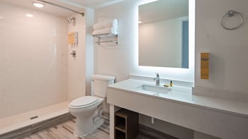 Standard Room, 1 King Bed, Non Smoking (Walk-in Shower;with Sofabed)