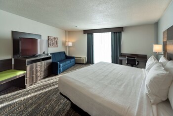 Standard Room, 1 King Bed, Non Smoking (Walk-in Shower;with Sofabed)