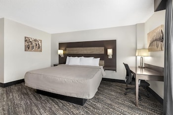 Standard Room, 1 King Bed, Accessible, Refrigerator & Microwave (Walk-in Shower)