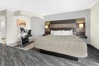 Standard Room, 1 King Bed, Non Smoking, Refrigerator & Microwave (Walk-in Shower)