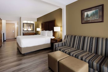 Room, 1 King Bed with Sofa bed, Non Smoking (Upgrade)