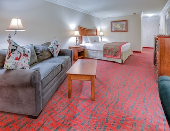 Room, 1 King Bed, Non Smoking