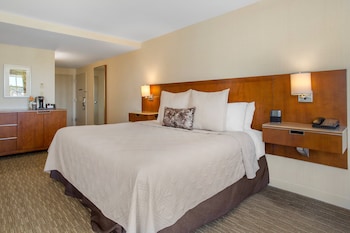 Suite, 1 King Bed, Accessible (East Tower)
