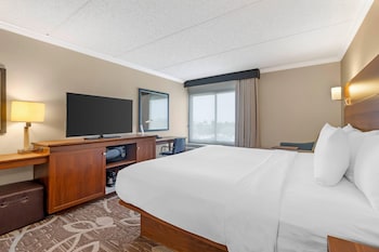 Accessible Room, 1 King Bed, Roll-In Shower, Non Smoking