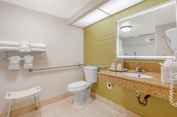 Accessible Room, 1 King Bed, Roll-In Shower, Non Smoking