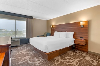 Accessible Room, 1 King Bed, Roll-In Shower, Non Smoking