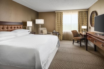 Suite, 1 King Bed with Sofa bed