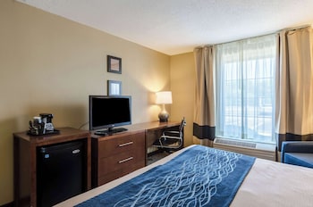 Room, 1 King Bed, Accessible, Non Smoking