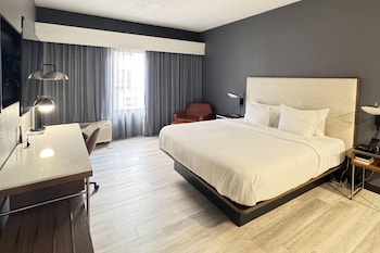 Executive Suite, 1 King Bed, Non Smoking