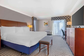 Standard Room, 1 King Bed, Accessible, Non Smoking (Larger Room)