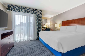 Suite, 1 King Bed, Non Smoking, Balcony (with Sofabed)