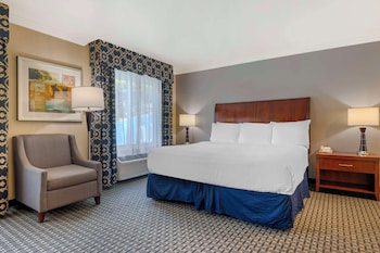 Standard Room, 1 King Bed, Non Smoking