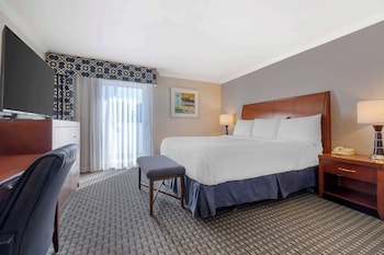 Suite, 1 King Bed, Accessible, Bathtub (with Sofabed)