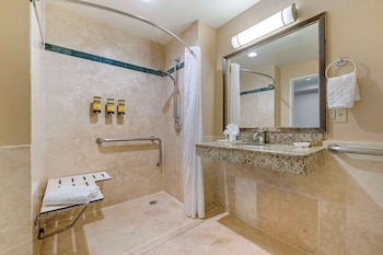 Standard Room, 1 King Bed, Accessible, Non Smoking (Larger Room)