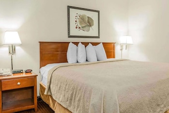 Room, 1 King Bed, Accessible, Non Smoking (Mobility/Hearing, Roll in Shower)