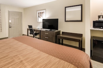 Room, 1 King Bed with Sofa bed, Smoking