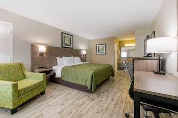 Standard Room, 1 King Bed, Non Smoking