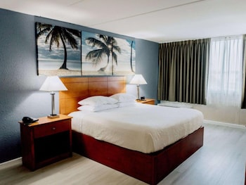 Room, 1 King Bed, Accessible, Non Smoking