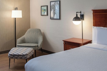 Room, 1 King Bed