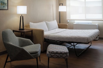 Suite, 1 Bedroom, Roll-in Shower