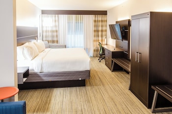 Suite, 1 King Bed with Sofa bed