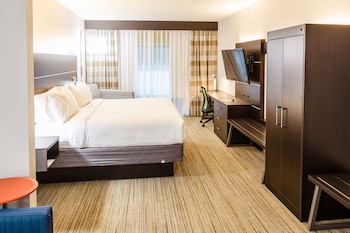 Suite, 1 King Bed with Sofa bed