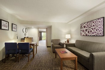 Suite, 1 King Bed, Accessible, Bathtub