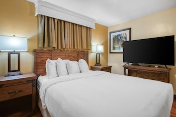 Suite, 1 King Bed, Non Smoking, Kitchenette (with Sofabed)