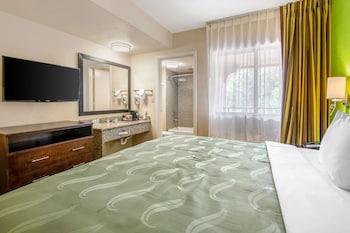 Standard Room, 1 King Bed, Non Smoking