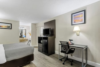 Room, 1 Double Bed, Non Smoking