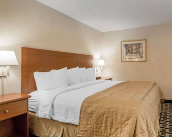 Standard Room, 1 King Bed, Non Smoking