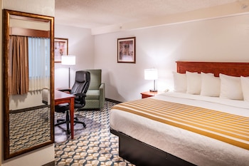 Standard Room, 1 King Bed, Non Smoking, Refrigerator