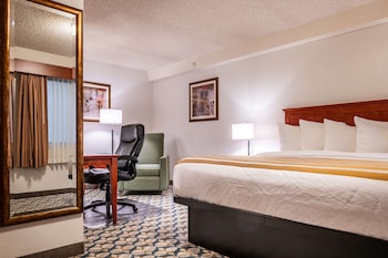 Standard Room, 1 King Bed, Non Smoking, Refrigerator