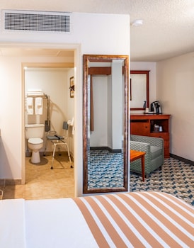 Standard Room, 1 Double Bed, Accessible, Non Smoking