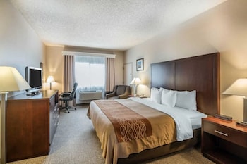 Room, 1 King Bed, Accessible, Non Smoking