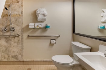 Standard Room, 1 Queen Bed, Accessible, Non Smoking