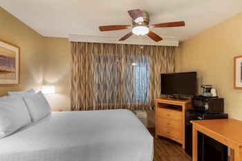 Economy Room, 1 Queen Bed, Non Smoking, Refrigerator & Microwave (Small room)