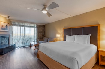 Standard Room, 1 King Bed, Non Smoking, Patio