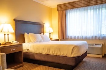 Standard Room, 1 Double Bed, Accessible, Non Smoking