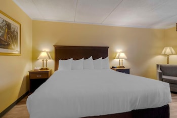 Standard Room, 1 King Bed, Non Smoking