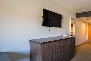 Standard Studio, 1 King Bed, Non Smoking, Refrigerator & Microwave