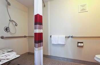 Standard Room, 1 King Bed, Accessible, Non Smoking