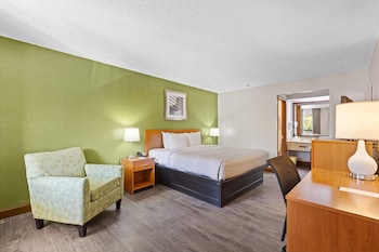 Standard Room, 1 King Bed, Smoking