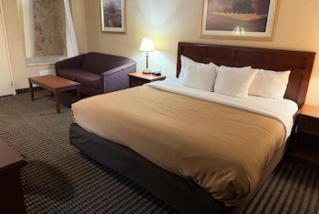 Room, 1 King Bed, Mobility Accessible, Non Smoking (Mobility, Bathtub W/grab Bars)
